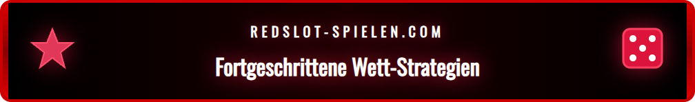 Infografik mit Tipps und Tricks zur Maximierung von Wettbonus-Gewinnen.