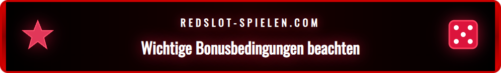Eine Infografik zeigt die wichtigsten Umsatzbedingungen für den Bonus.