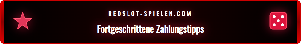 Infografik mit Tipps und Tricks für schnelle Online-Zahlungen.